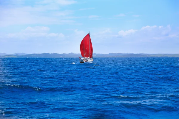 Weergave van boot met rode zeil aan de jachthaven in Russell, Nz — Stockfoto