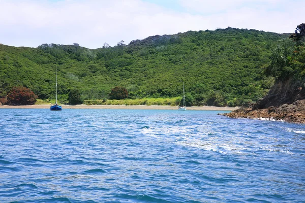 Vista de barcos en el puerto de Russell, Nueva Zelanda — Foto de Stock