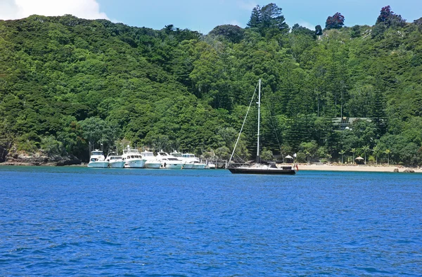 Harbour Russell, Yeni Zelanda, teknelerin görünümü — Stok fotoğraf