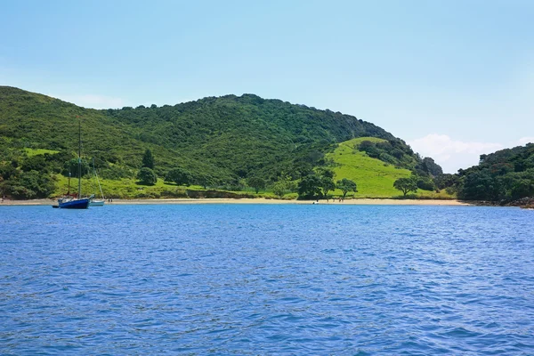 Pemandangan perahu di pelabuhan di Russell, Selandia Baru — Stok Foto