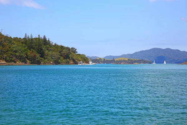 Widok z łodzi w porcie w Russell, Nowa Zelandia — Zdjęcie stockowe