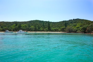 Whitianga Harbour, Whitianga, Coromandel Yarımadası, Yeni Zelanda