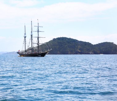 Whitianga Harbour, Whitianga, Coromandel Yarımadası, Yeni Zelanda