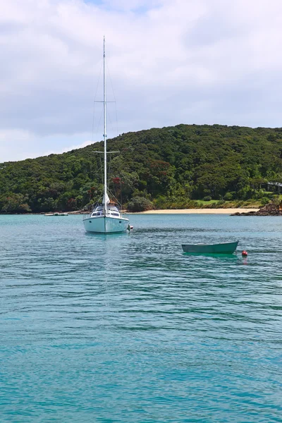 Puerto de Whitianga, Whitianga, Península de Coromandel, Nueva Zelanda —  Fotos de Stock