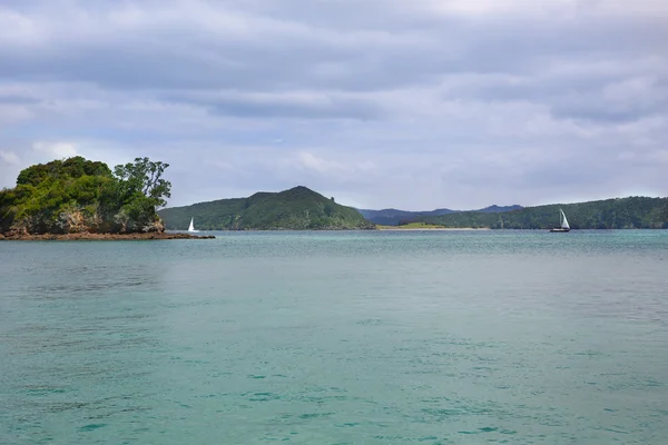 Puerto de Whitianga, Whitianga, Península de Coromandel, Nueva Zelanda — Foto de Stock