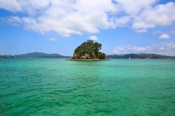 Pequena ilha verde rodeada de água. NZ — Fotografia de Stock