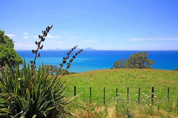 Scenic countryside and ocean view, New Zealand — Stock Photo, Image