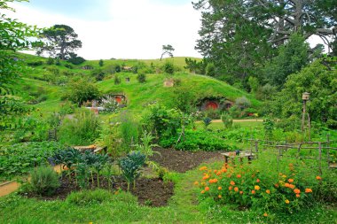 Matamata, Yeni Zelanda - 15 Ocak 2015: Hobbitköy - kurgusal v