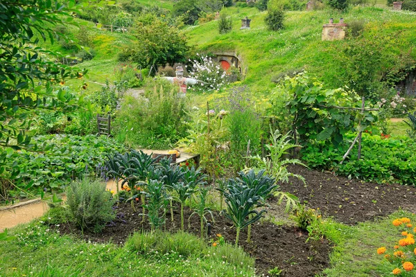 MATAMATA, NUEVA ZELANDA - 15 DE ENERO DE 2015: Hobbiton - ficticia v — Foto de Stock