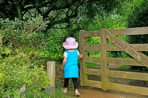 Маленькая девочка в синем платье проходит через ворота деревни Хоббитон — стоковое фото