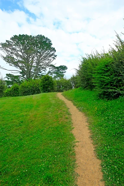 MATAMATA, NOUVELLE-ZÉLANDE - 15 JANVIER 2015 : Long chemin étroit surro — Photo