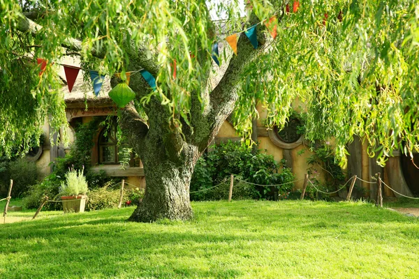 MATAMATA, NEW ZEALAND - JANUARY 15, 2015: Giant oak tree with ar — Stock Photo, Image