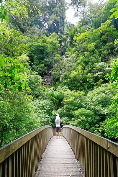 Brücke über wairere Bach auf dem Weg zu wairere Stürze. — Stockfoto