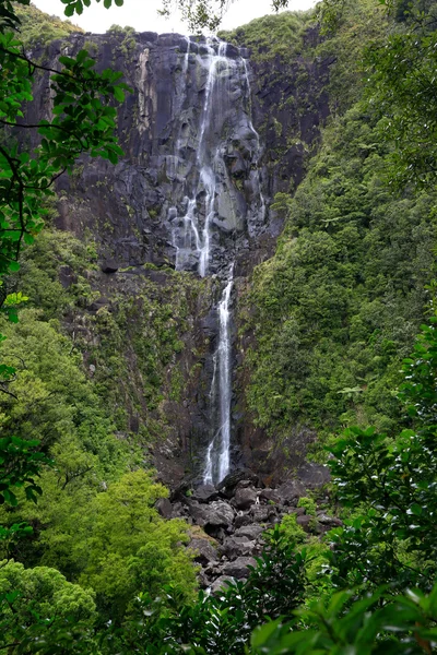 Wairere 瀑布和周围的森林 — 图库照片
