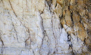 Te Pui termal parkta Whakarewarewa Gayzer kükürt, Nz