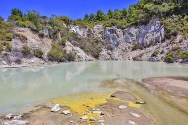 Wai-O-Tapu Jeotermal Rezerv Rotorua, Yeni Zelanda