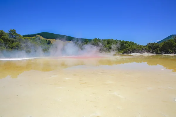 Piscine à Champagne au Pays des Merveilles Géothermiques de Wai-O-Tapu, Rotorua, NZ — Photo