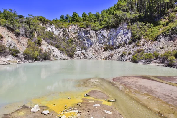 Wai-O-Tapu Jeotermal Rezerv Rotorua, Yeni Zelanda