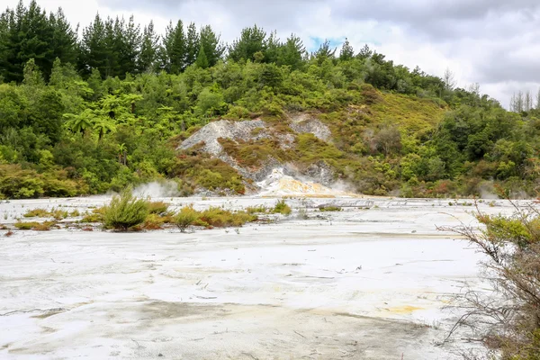 Orakei Korako vallée géothermique près de Taupo en Nouvelle-Zélande — Photo