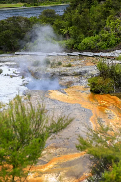 Orakei Korako vallée géothermique près de Taupo en Nouvelle-Zélande — Photo