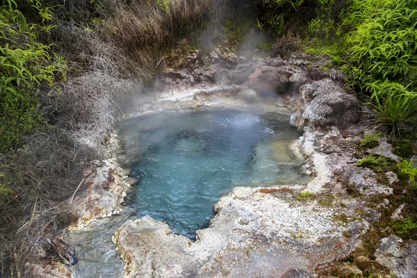 Fuente de soda en el área geotérmica de Orakei Korako, Nueva Zelanda — Foto de Stock