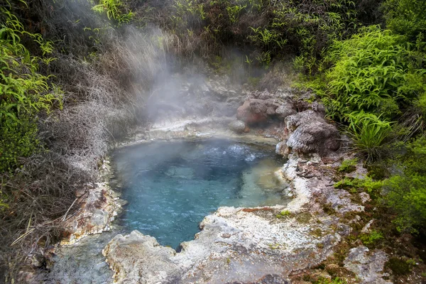 Fontaine de soude à Orakei Korako Geothermal area, NZ — Photo