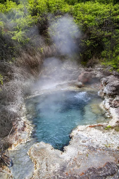 Fontaine de soude à Orakei Korako Geothermal area, NZ — Photo