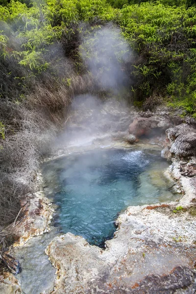 Soda fountain in Orakei Korako Geothermal area, NZ