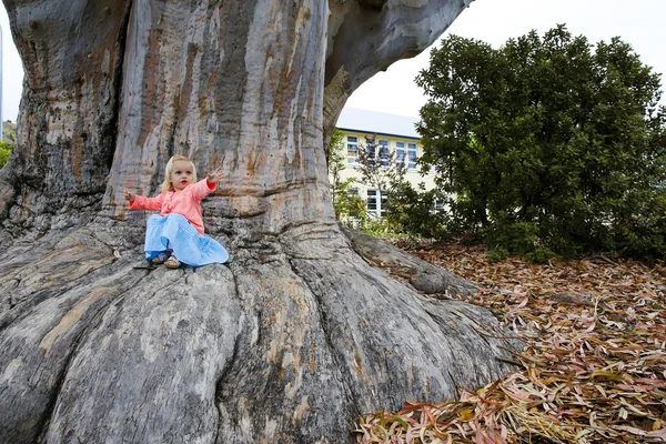 Little girl sitting on the roots of Giant Sequoia tree — Stock Photo, Image