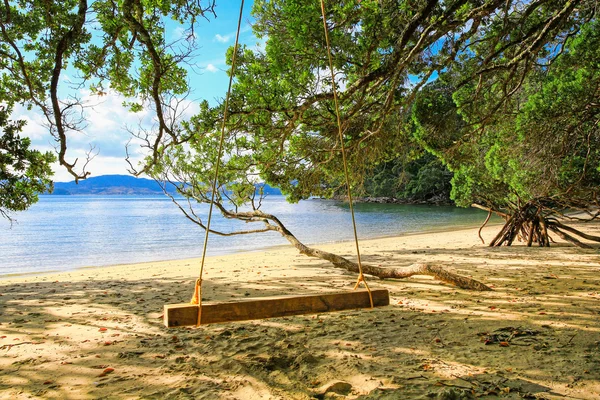 Praia de Hahei com balanço pendurado sob a árvore — Fotografia de Stock