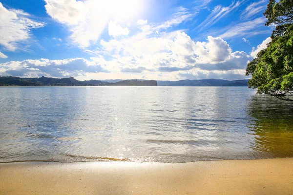 Hahei Beach i Coromandel peninsula, Nya Zeeland — Stockfoto