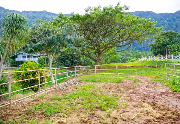 Open gate to the pasture. Horse farm exterior in New Zealand — Stock Photo, Image
