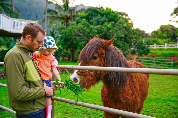 Isä pienen tyttärensä kanssa ruokkimassa hevosta — kuvapankkivalokuva