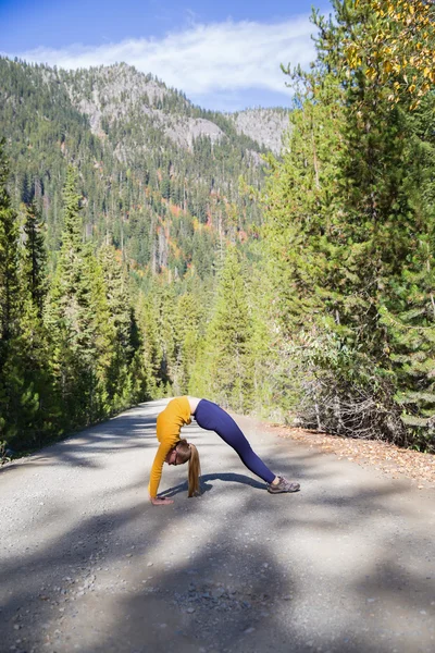 Giovane donna fitness pratica yoga in montagna — Foto Stock