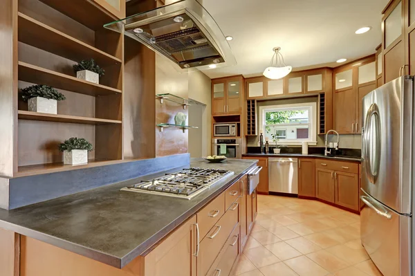 Large kitchen room interior with brown cabinets and steel appliances — Stock Photo, Image