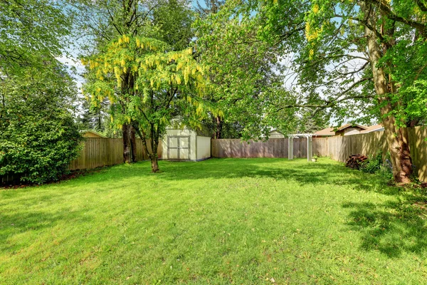 Grama verde e um galpão no quintal cercado vazio — Fotografia de Stock