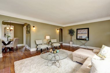 Usta evin oturma odası iç tasarım.