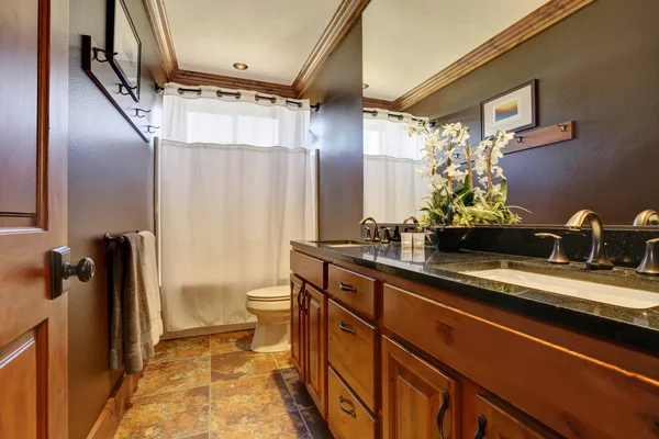 Interior do banheiro com chuveiro, armário de vaidade e banheiro — Fotografia de Stock