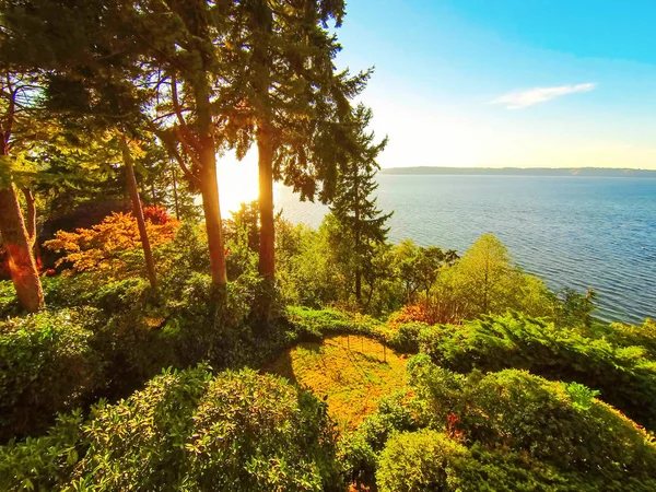 Vue imprenable sur l'eau au coucher du soleil avec ciel bleu et arbres verts . — Photo