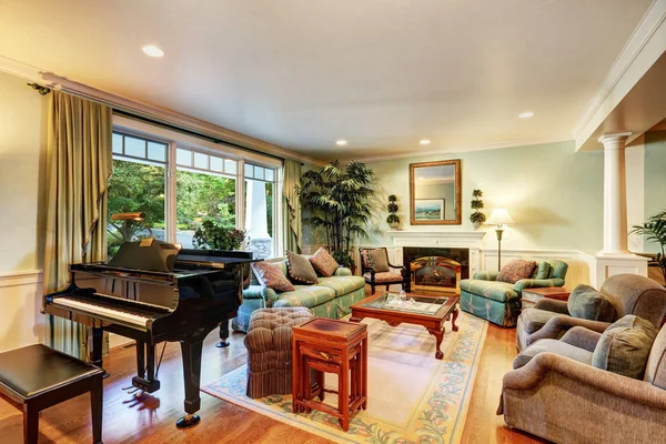 Cozy American classic living room interior design — Stock Photo, Image