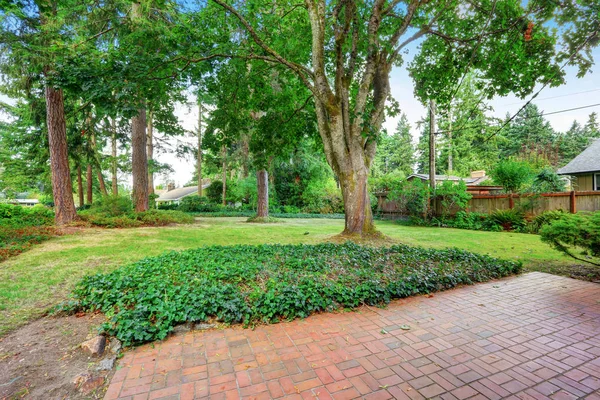 Backyard garden with red brick floor, trees and grass