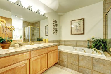 Lüks banyo büyük vanity kabine ile mermer karo.