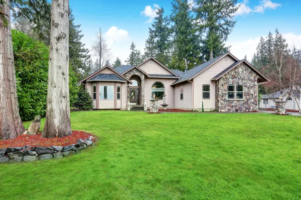 Spectacular View home with stone decor — Stock Photo, Image