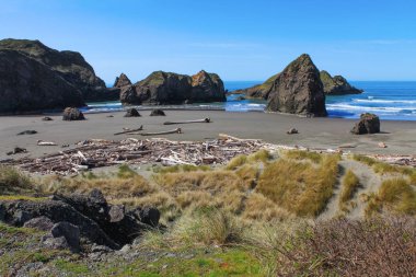 Plaj ve kaya oluşumu, Redwood Milli Parkı. 