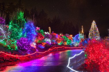Tacoma, WA noktası Defiance hayvanat Zoolights