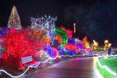 Tacoma, WA noktası Defiance hayvanat Zoolights