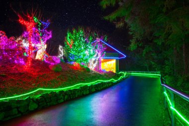 Tacoma, WA noktası Defiance hayvanat Zoolights
