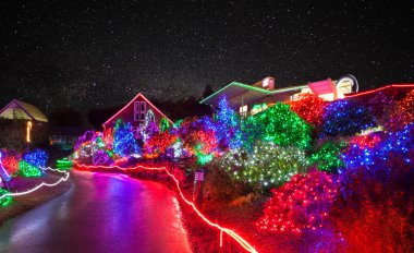 Tacoma, WA noktası Defiance hayvanat Zoolights