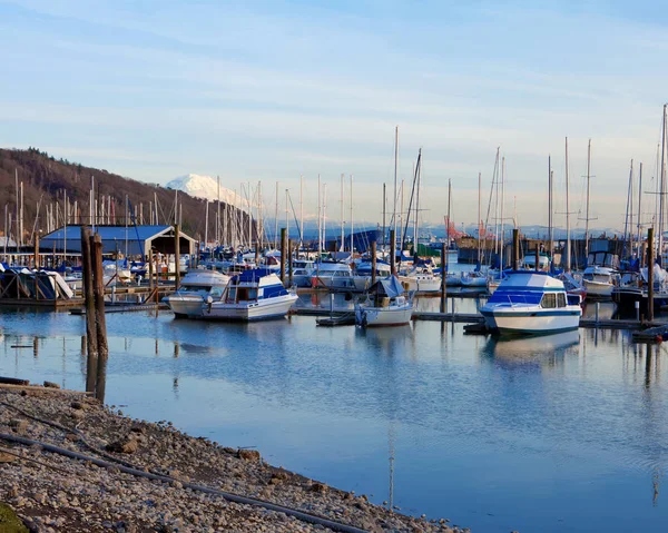 Puerto deportivo con barcos y el Monte Ranier en Tacoma, WA . — Foto de Stock