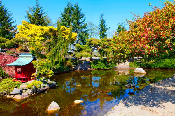 Japanese Garden in Point Defiance Park. Tacoma, WA — Stock Photo, Image